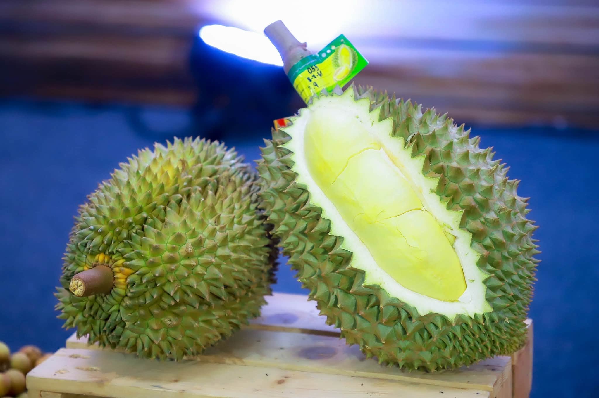 title - ส.ป.ก. ร่วมงานแถลงข่าว Thailand : The Land of Tropical Fruits ในวันที่ 12 - 16 กรกฎาคม 2569 ณ ลานคนเมือง กรุงเทพฯ